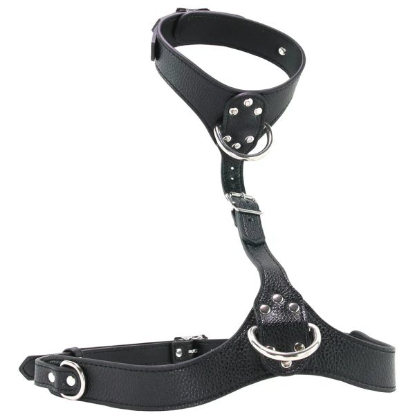 Strict Female Chest Harness - Image 2
