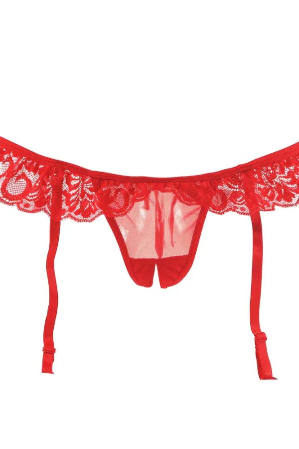 Lacy Bra & Open Crotch Garter Panty - Image 4
