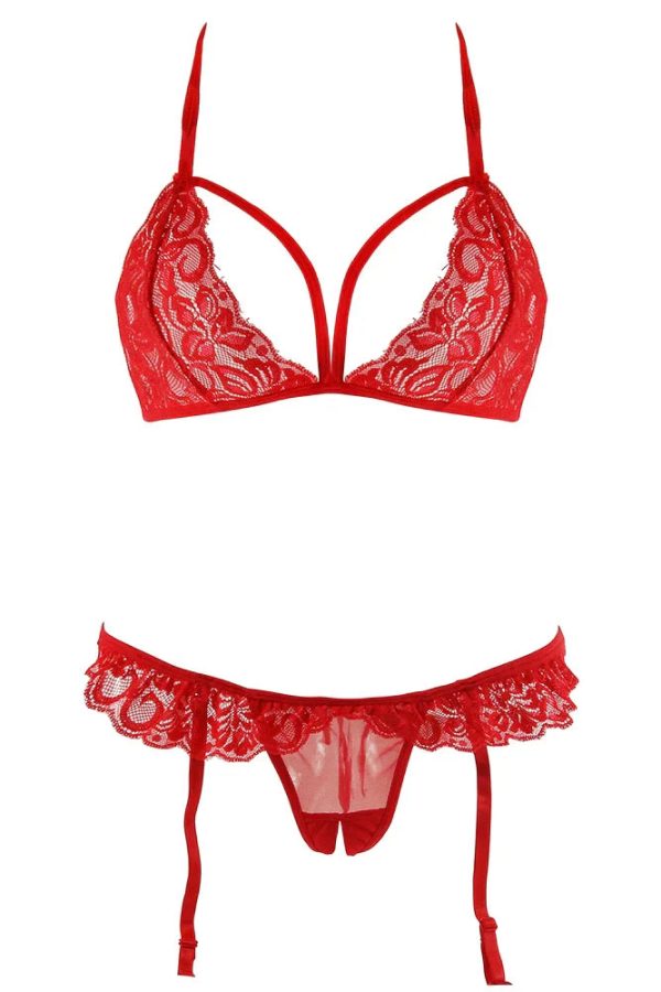 Lacy Bra & Open Crotch Garter Panty - Image 5